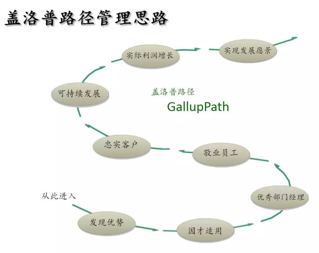 企業微診斷,組織楊三角,組織管理